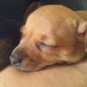 Meet your Posher, Jim